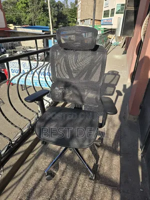 Ergonomic Chair
