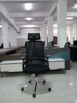 Executive Mesh Chair With Lumbar Headrest