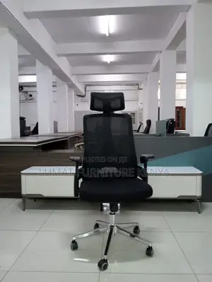 Executive Mesh Chair With Lumbar Headrest
