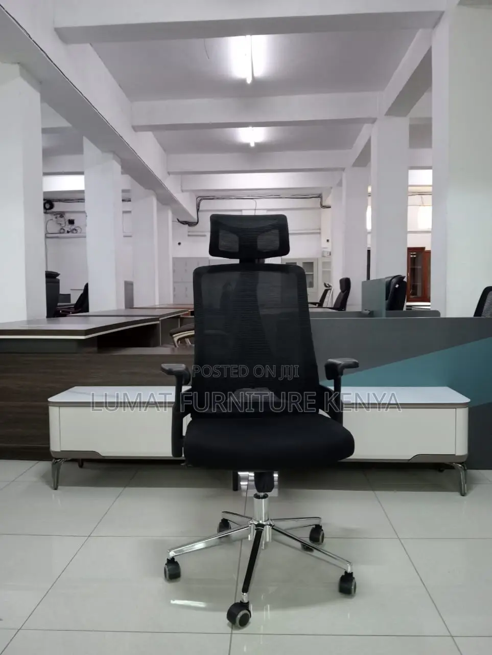 Executive Mesh Chair With Lumbar Headrest