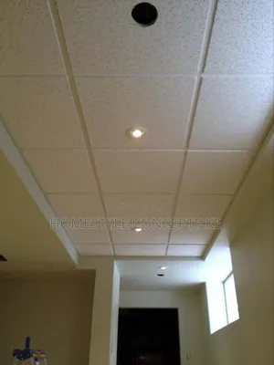 Acoustic Ceilings for Office and Interior Design Services.