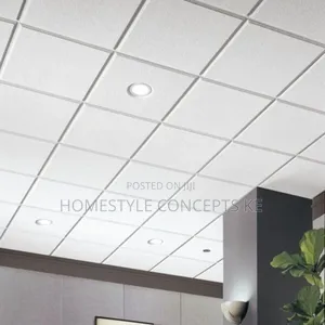 Acoustic Ceilings for Office and Interior Design Services.