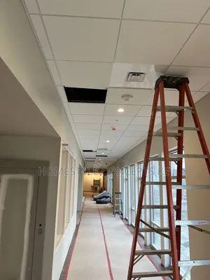 Panrls Suspended Acoustic Ceilings