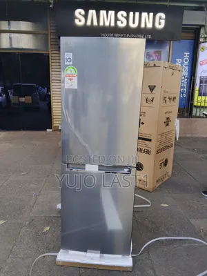 Lg 306l Bottom Mount Freezer Gc-B369nljm