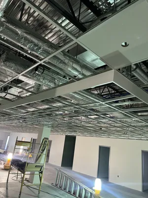 Acoustic Panels Ceilings