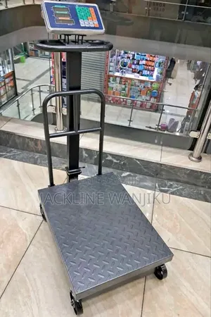 Digital Platform Scale 600kgs/ Weighing Scale Platform 600kgs