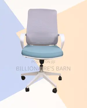 Home Office | Ergonomic Stylish Mesh | Order Yours Today
