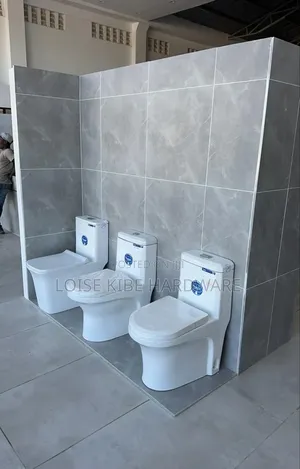 New Model One Piece Toilet Frencia Available