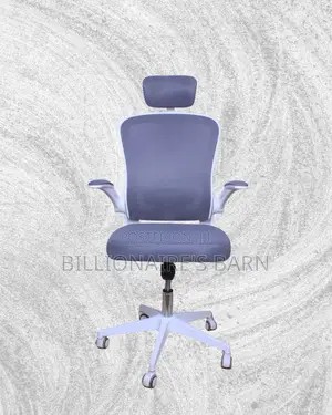 Adjustable Ergonomic White Orthopedic — Chair | Nairobi Delivery