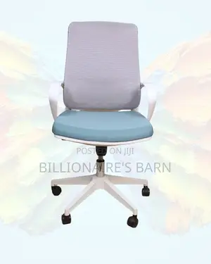 Breathable Office Chair (Best-Seller) | Order Yours Today