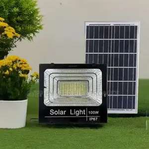 Energy Efficient 100w Solar Flood Light Ip67 Waterproof Led Chips
