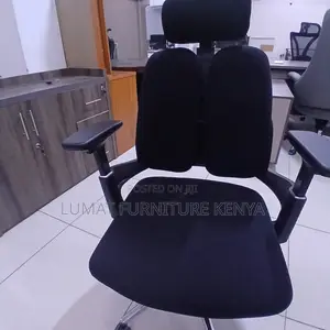 Ergonomic Office Chair With Back Support