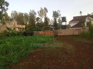 Prime Land for Sale in a Prestigious, Well-Developed Neighborhood