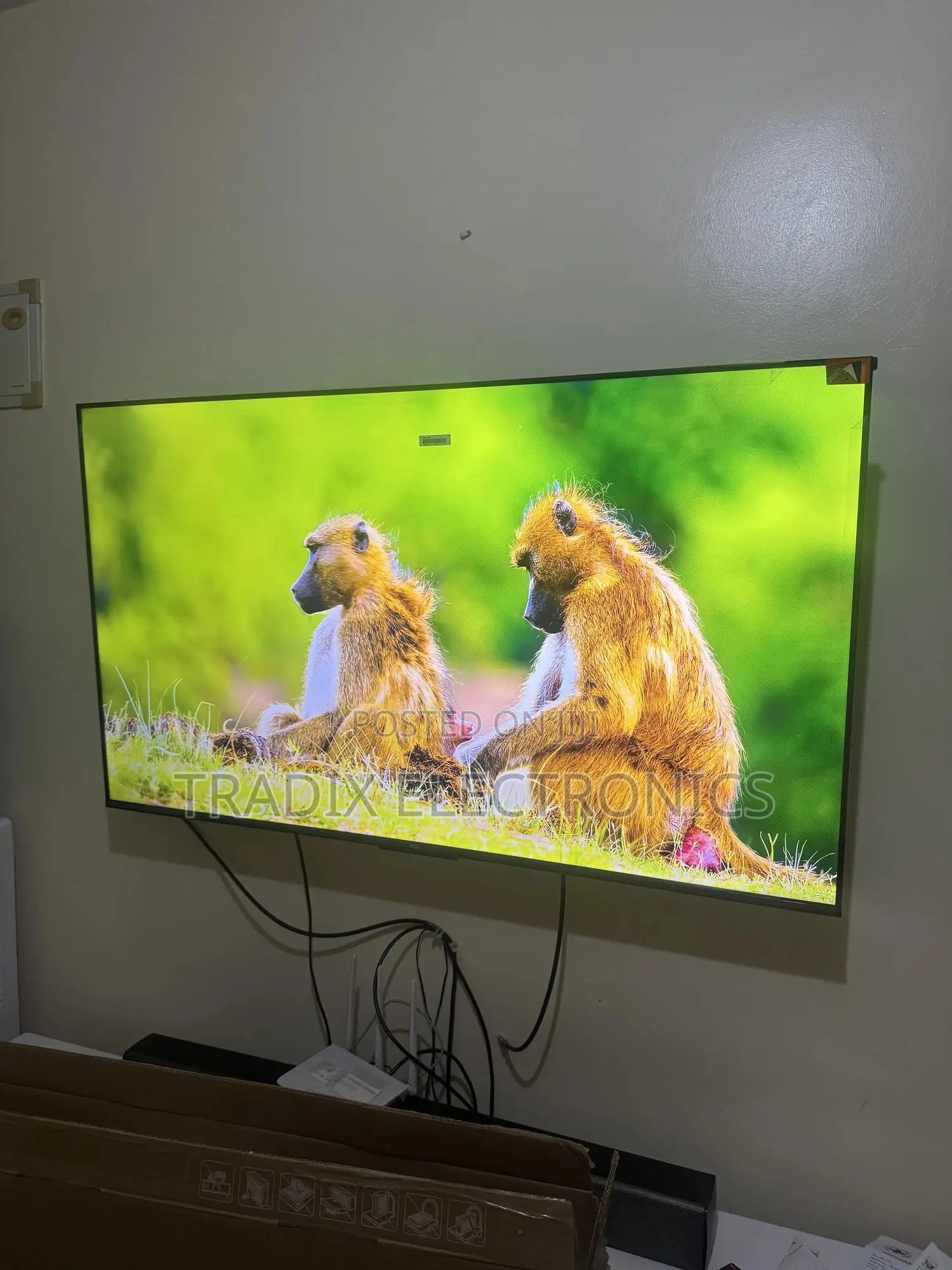 Television