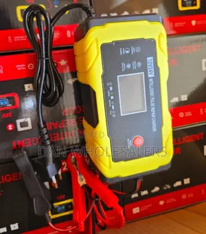 Intelligent Battery Charger 12/24v