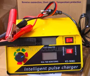 Intelligent Pulse Battery Charger 12v/24v