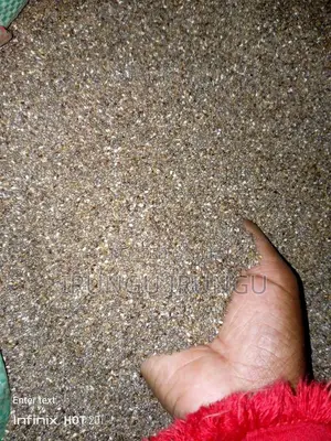 Chia Seeds for Planting