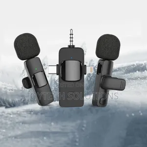 Portable Wireless Microphone