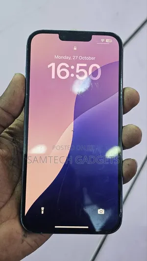 Apple iPhone 13 Pro Max 256 GB Gray