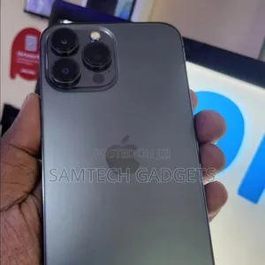 Apple iPhone 13 Pro Max 256 GB Gray