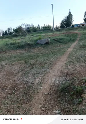 100by 100 at Tala