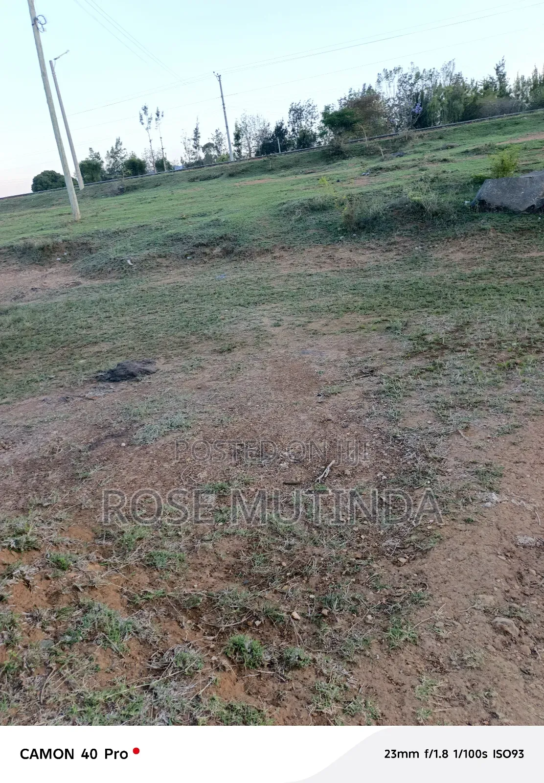 100by 100 at Tala
