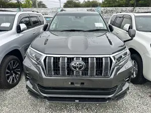 Toyota Land Cruiser Prado 2.8 2019 Gray