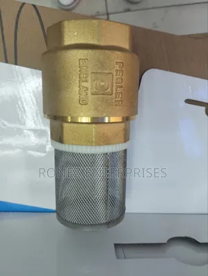 Foot Valve Pegral 2"