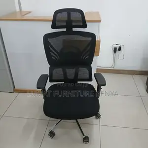 Executive Mesh Orthopedic Seat