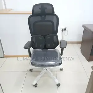 Mesh Orthopedic Back Support Seat