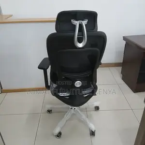 Mesh Orthopedic Back Support Seat