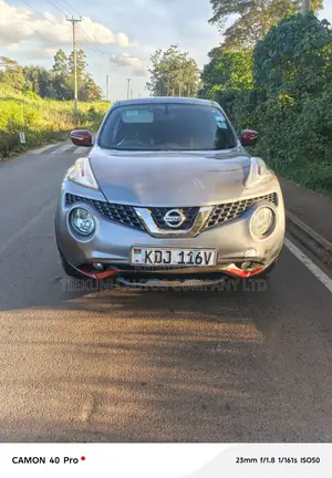 Nissan Juke 2015 Gray