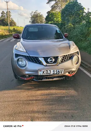 Nissan Juke 2015 Gray