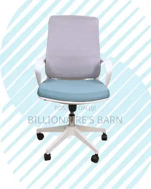 Ergonomic — Chair Stable Quiet-Roll | Top Seller in Kenya