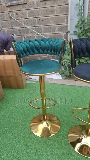 Adjustable Modern Kitchen Bar Stool