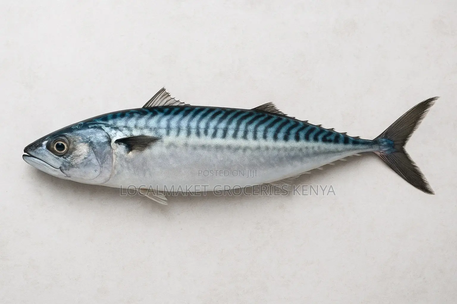 Titus Iced Fish