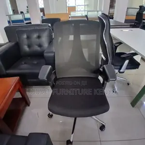 Secretary Ergonomic Seat