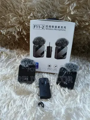 3 in 1 F11-2 Wireless Microphone System