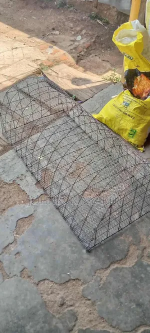 Chicken Cages