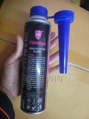 System Cleaner Catalytic