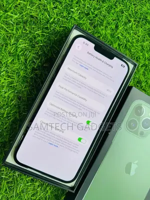 New Apple iPhone 13 Pro Max 256 GB Green