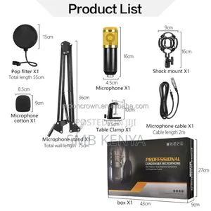 Bm800 Condenser Microphone With V9 Live Sounds