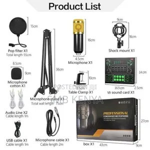 Bm800 Mic Wired Karaoke Microphone Professional