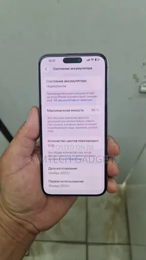 Apple iPhone 15 Pro Max 256 GB Gray