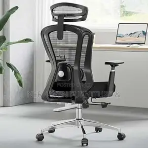 Executive Ergonomic Chair With Lumbar Support