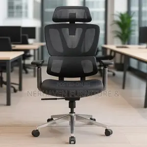 Professional Ergonomic Chair for Home Office