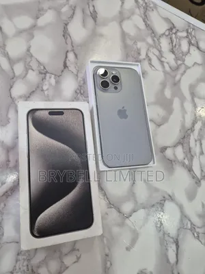 Apple iPhone 15 Pro Max 256 GB Gray