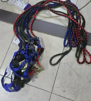 Dog Leashes