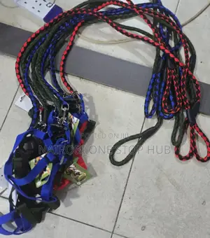Dog Leash All Sizes