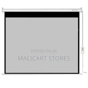 Lightwave Electric Projector Screen 300cm X 300cm